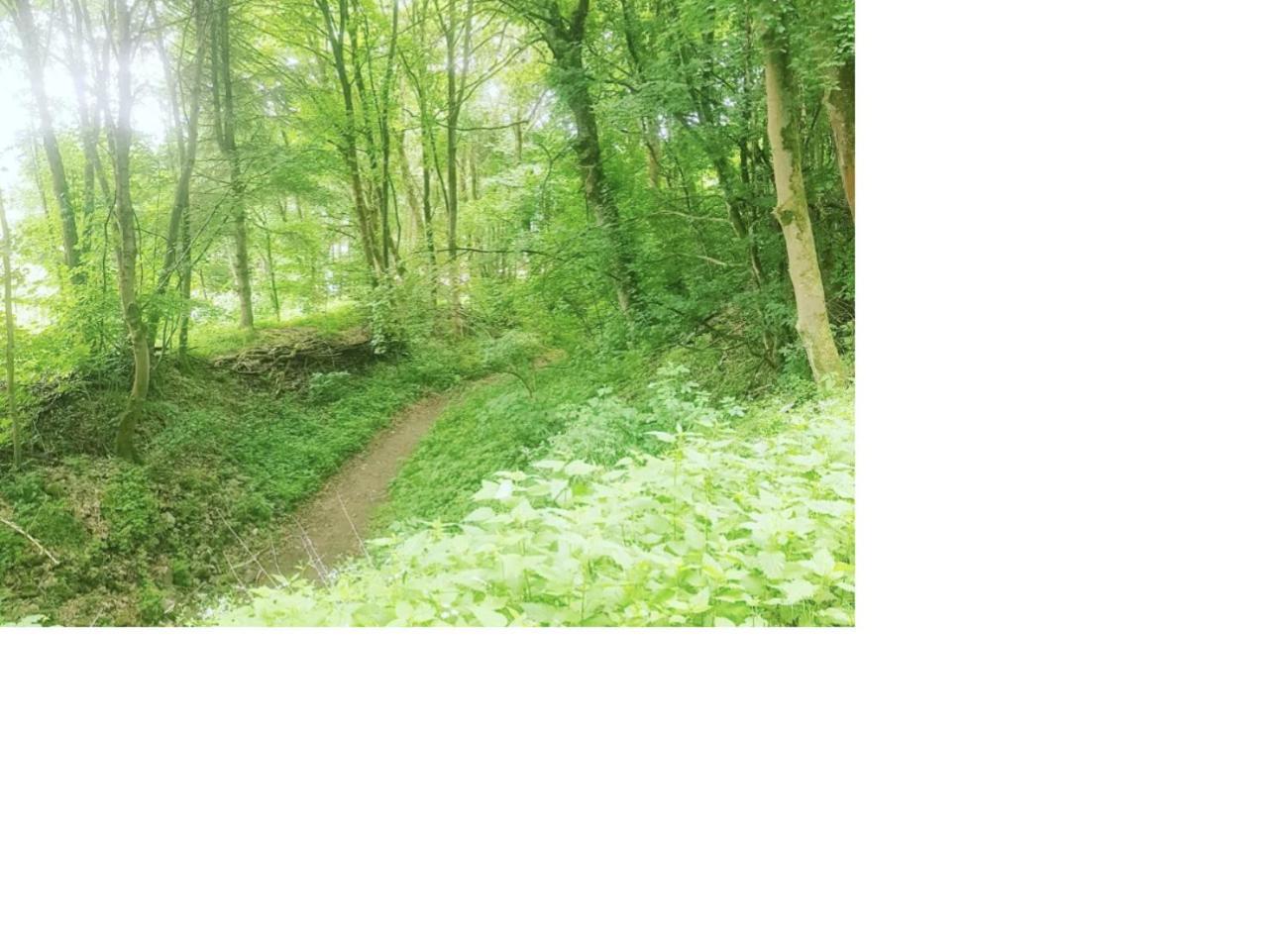 Aussergewoehnliche Auszeit - Metime1 Felsberg Esterno foto
