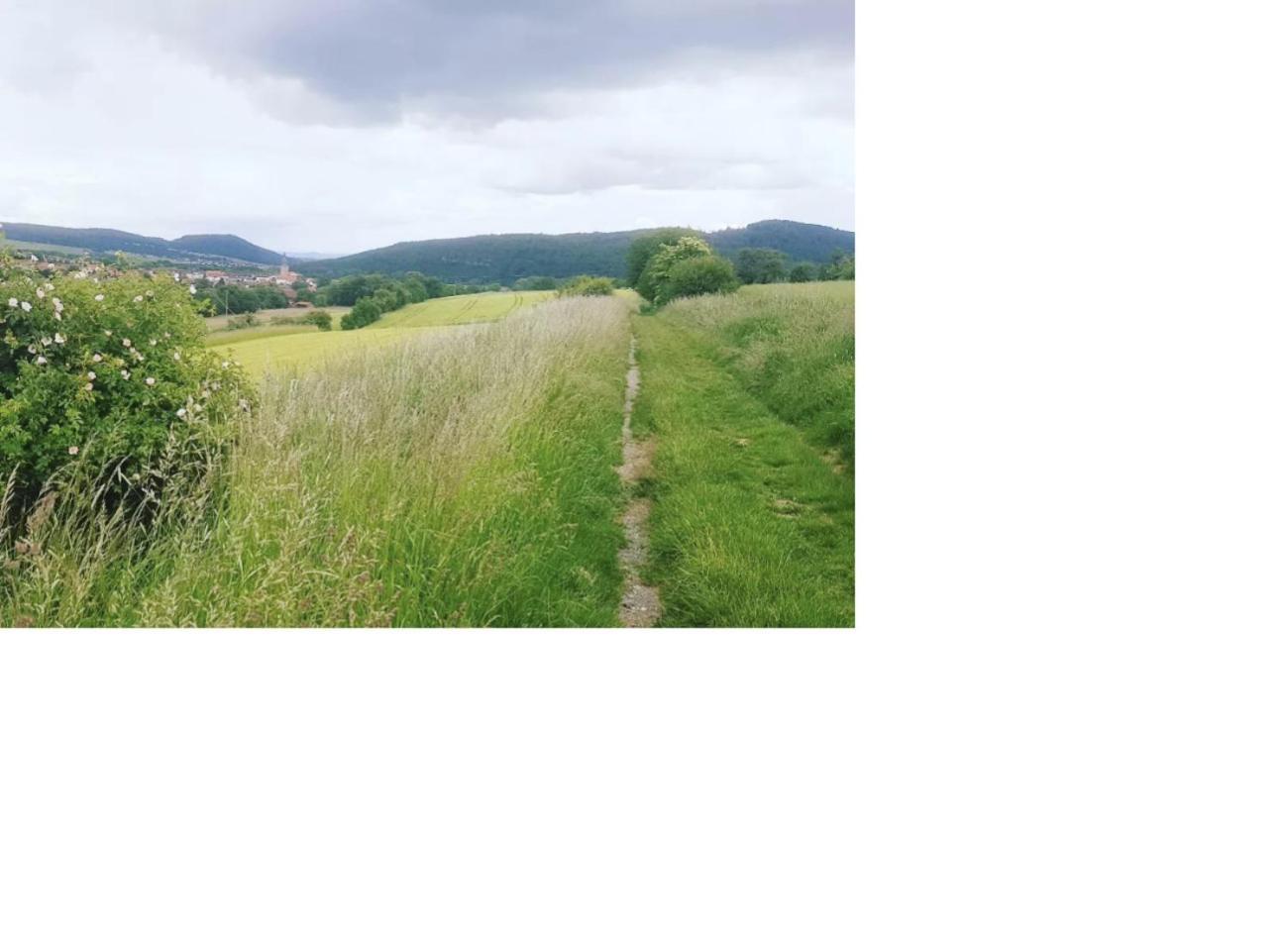 Aussergewoehnliche Auszeit - Metime1 Felsberg Esterno foto